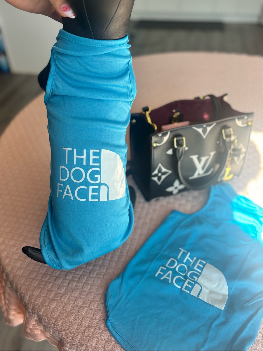 GORGEOUS SKY BLUE XXLARGE PET TSHIRT 🩵🐾😍 THE DOG FACE ❗️